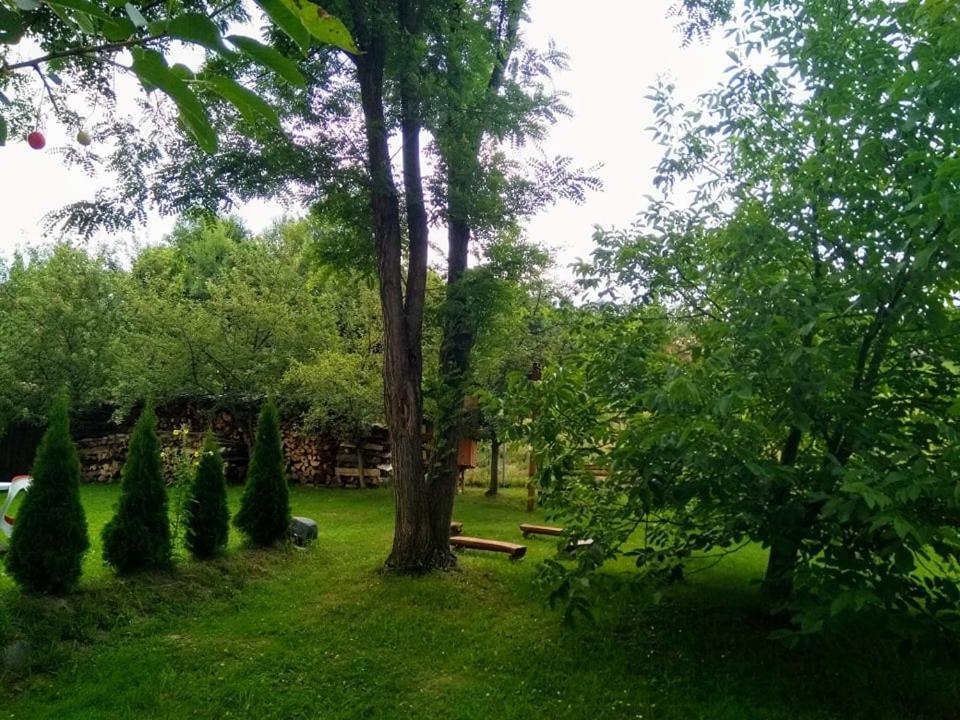 Casa Lacul Mierlei Hotel Sovata Exterior foto